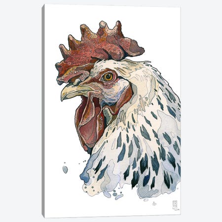 White Rooster Canvas Print #IMN36} by Irene Meniconi Canvas Art Print