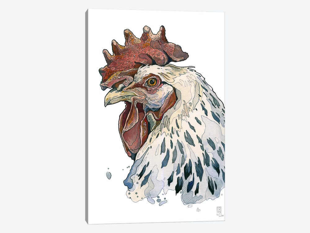 White Rooster by Irene Meniconi 1-piece Canvas Wall Art