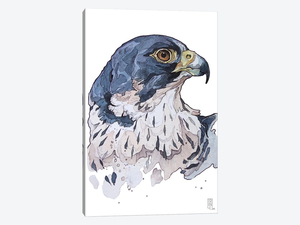Peregrine Falcon by Irene Meniconi 1-piece Art Print
