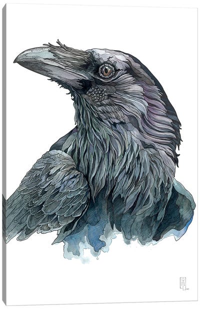 Raven Canvas Art Print - Irene Meniconi