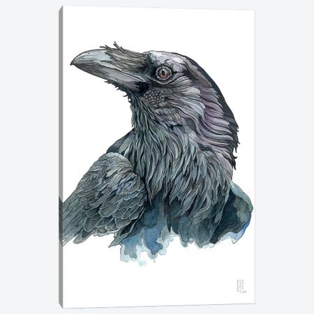 Raven Canvas Print #IMN38} by Irene Meniconi Canvas Artwork