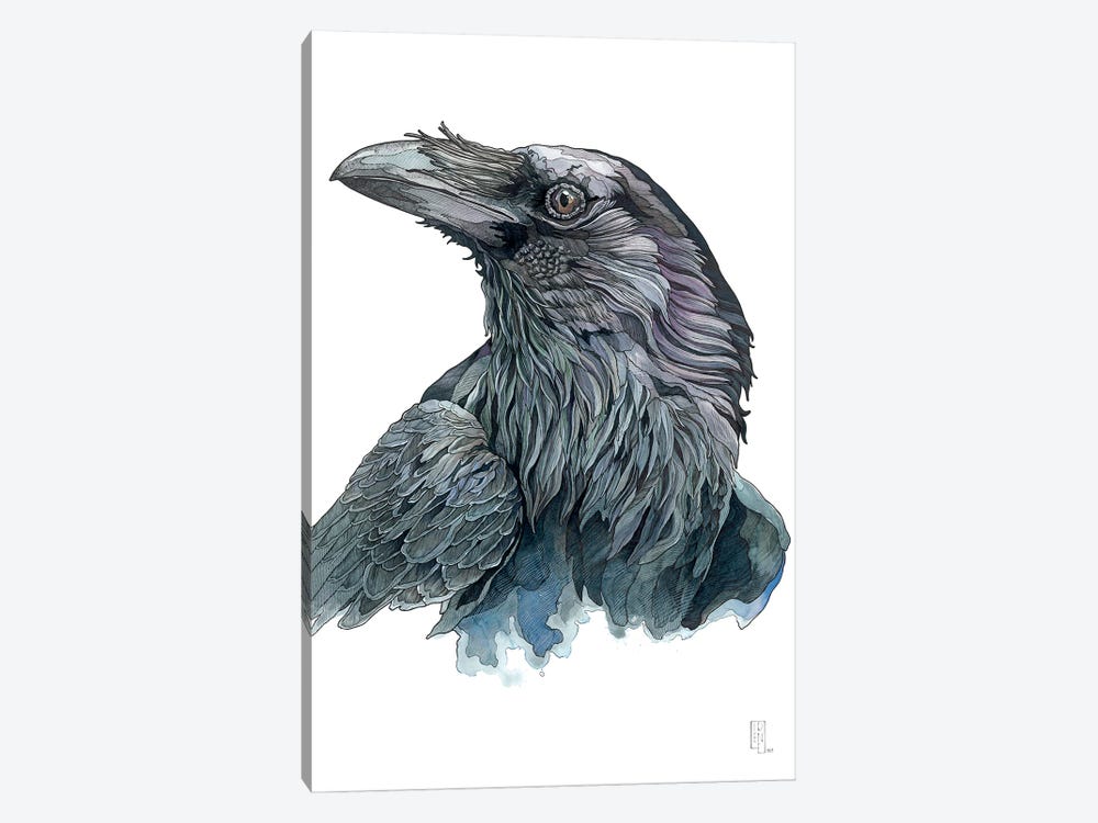 Raven by Irene Meniconi 1-piece Canvas Artwork