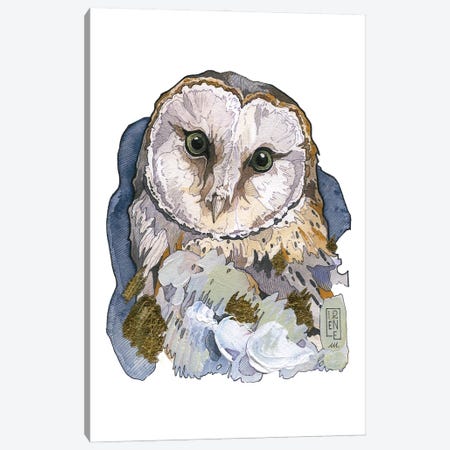 Barn Owl Canvas Print #IMN40} by Irene Meniconi Canvas Print