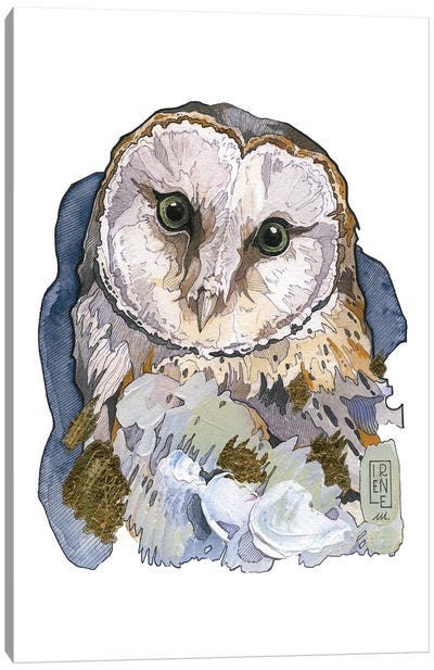 Barn Owl Canvas Art Print - Irene Meniconi