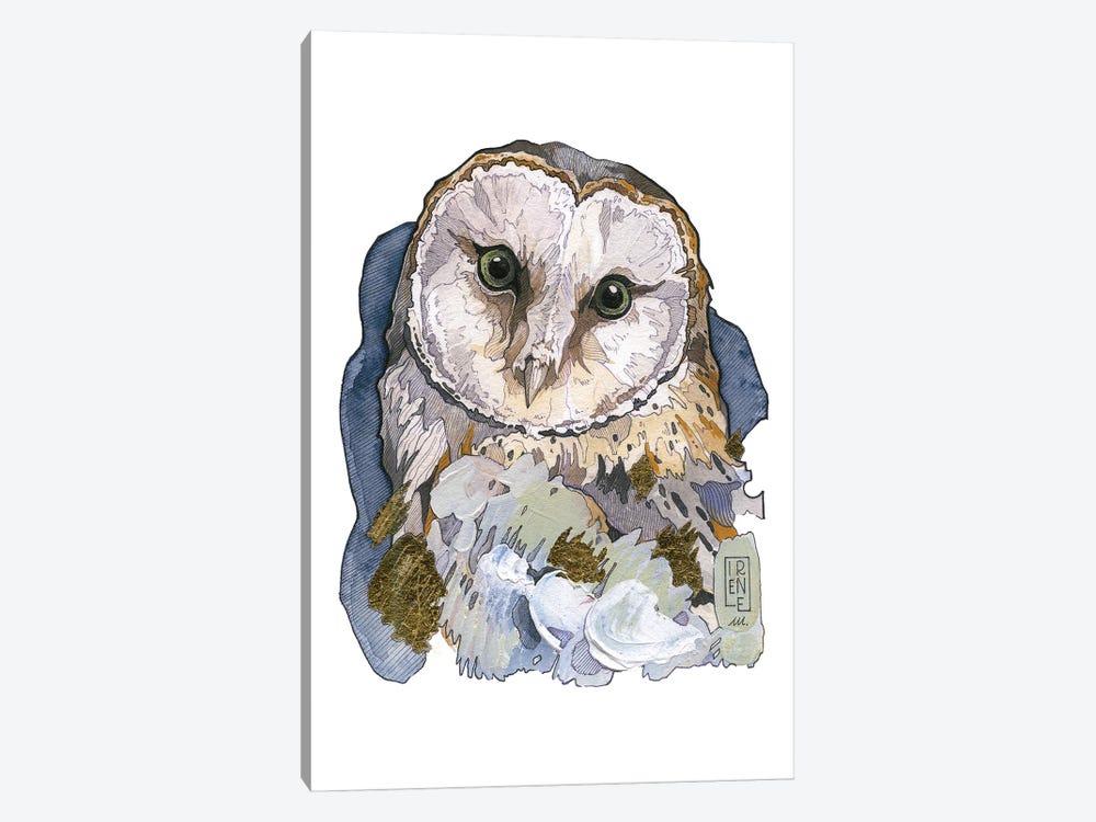 Barn Owl by Irene Meniconi 1-piece Art Print