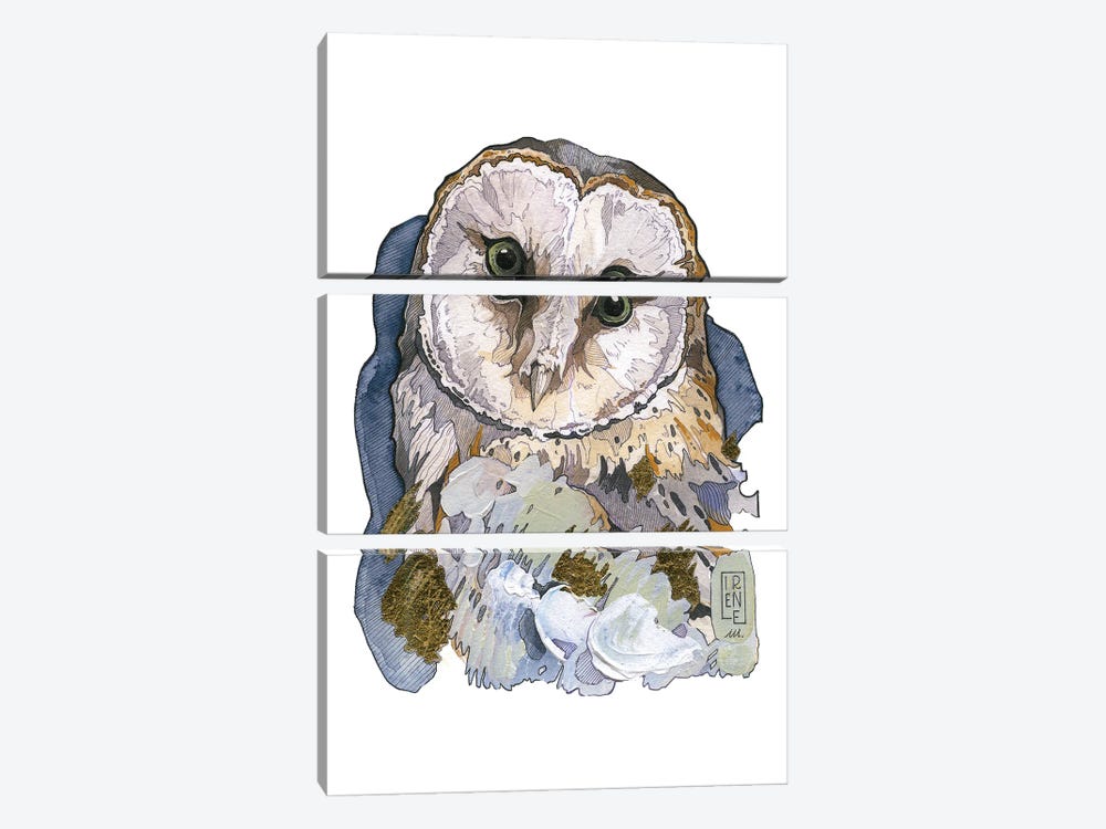 Barn Owl by Irene Meniconi 3-piece Art Print