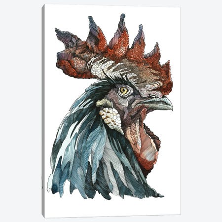 Black Rooster Canvas Print #IMN4} by Irene Meniconi Art Print