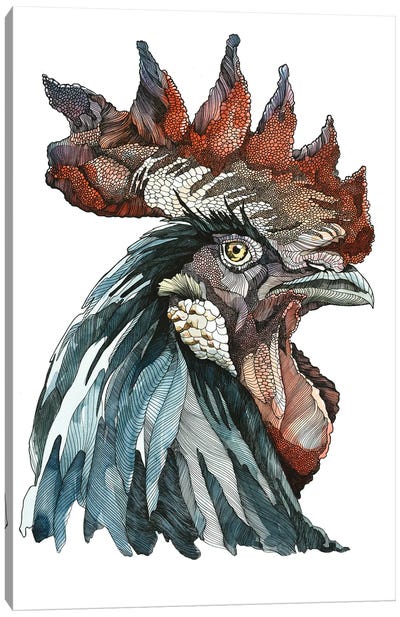 Black Rooster Canvas Art Print - Irene Meniconi