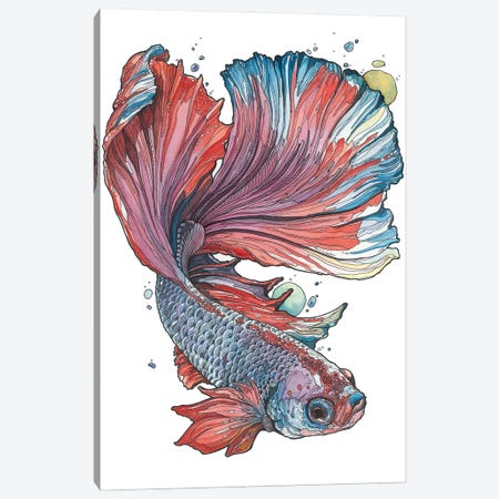 Siamese Fighting Fish I Canvas Print #IMN5} by Irene Meniconi Canvas Print