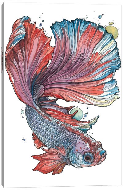 Siamese Fighting Fish I Canvas Art Print - Irene Meniconi