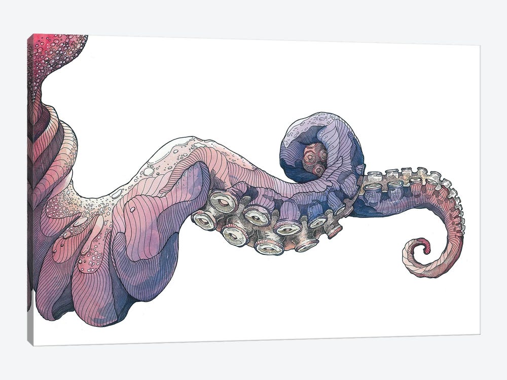 Tentacle VIII by Irene Meniconi 1-piece Canvas Wall Art