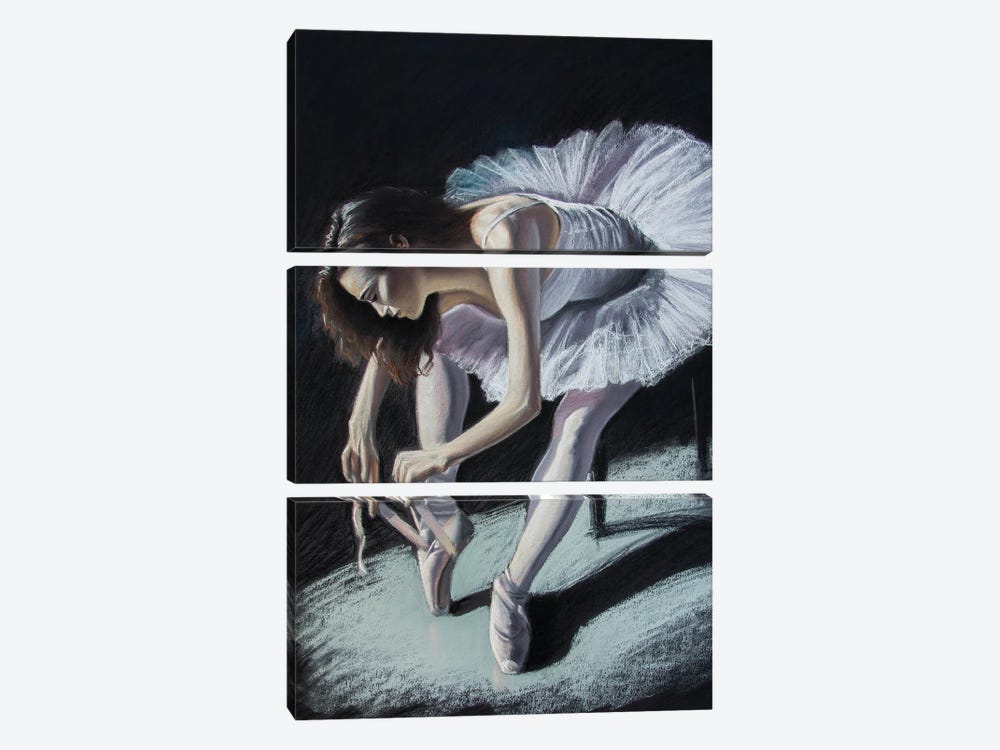 Ballerina by Inna Medvedeva 3-piece Canvas Art