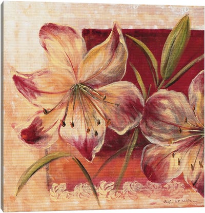 Classic Flower Lll Canvas Art Print