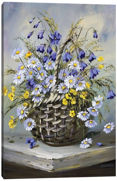 Colourful Basket Canvas Art Print - Katharina Schöttler