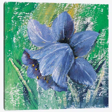 Purple Calyx Canvas Print #INA38} by Katharina Schöttler Canvas Art Print