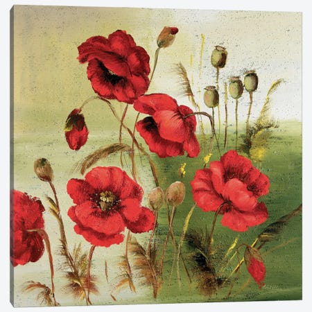 Red Poppies Composition I Canvas Print #INA40} by Katharina Schöttler Canvas Wall Art