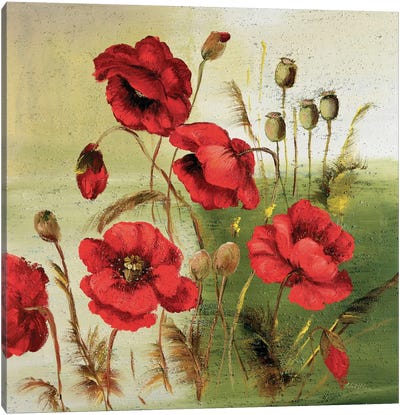Red Poppies Composition I Canvas Art Print - Katharina Schöttler