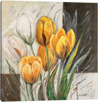 Yellow Tulips Canvas Art Print
