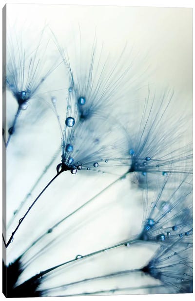 Misty Blue II Canvas Art Print - Minimalist Flowers