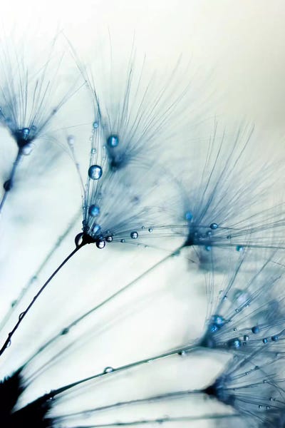 Minimalist Photography: Misty Blue II by Ingrid Beddoes