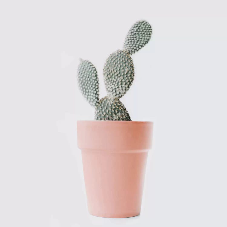 Cactus Love I by Ingrid Beddoes wall art