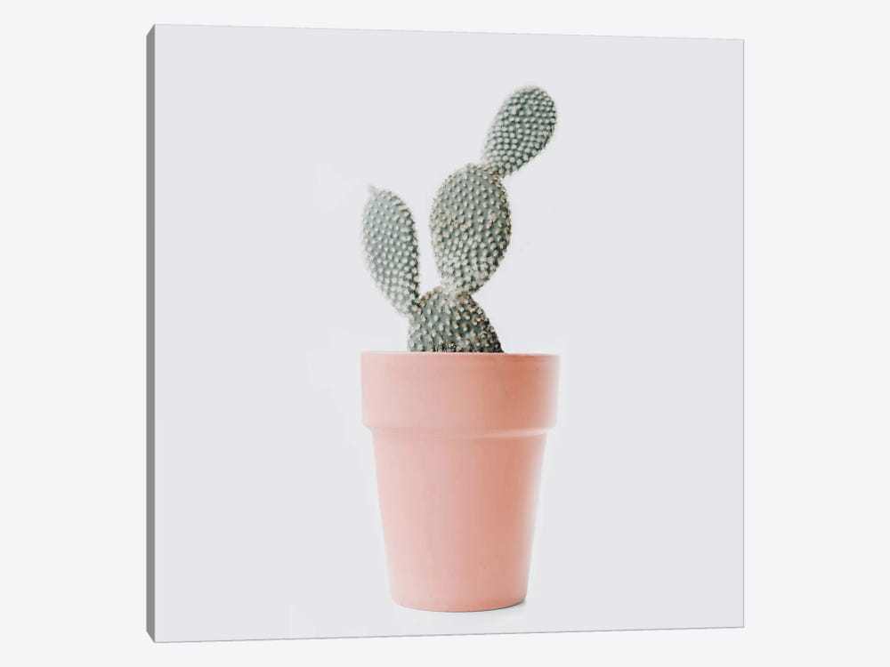 Cactus Love I by Ingrid Beddoes 1-piece Canvas Artwork