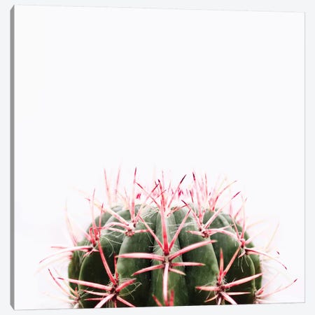 Cactus Red Canvas Print #INB27} by Ingrid Beddoes Canvas Artwork