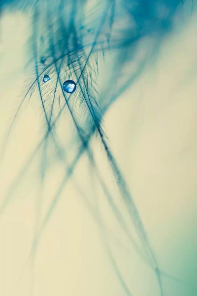 Ingrid Beddoes: Angel Tears by Ingrid Beddoes