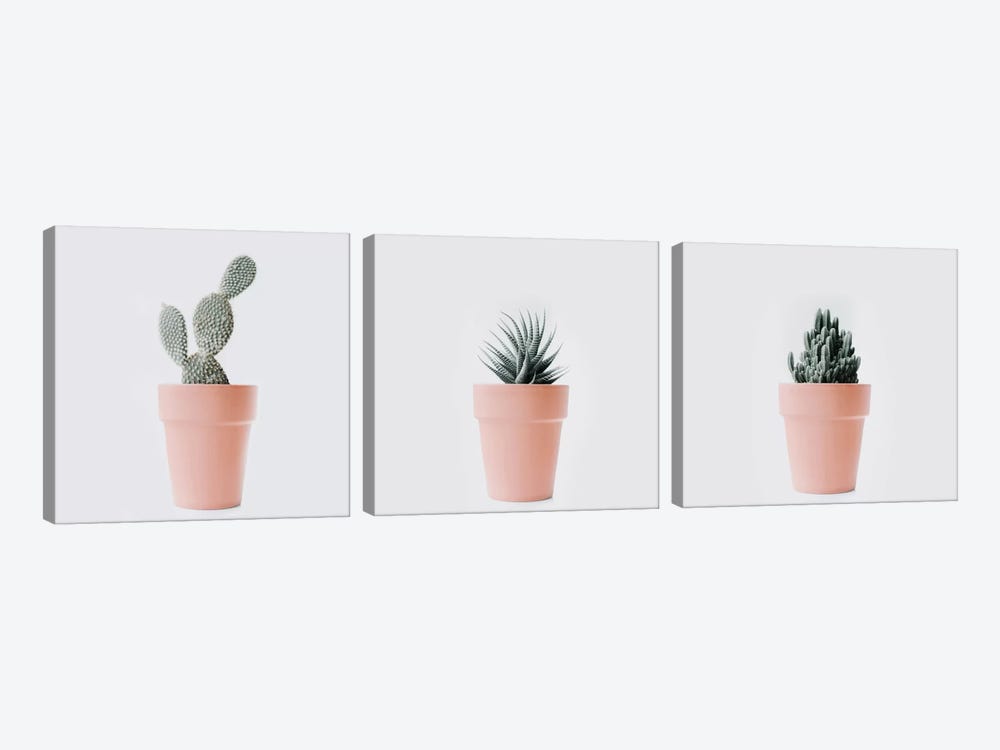 Cactus Love Triptych by Ingrid Beddoes 3-piece Canvas Print