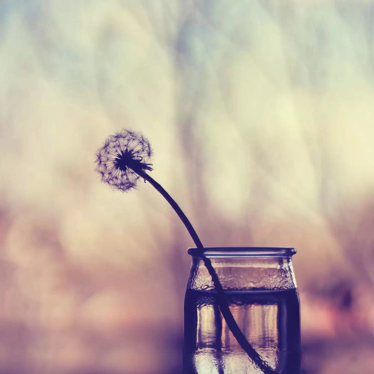 Lonely by Ingrid Beddoes wall art