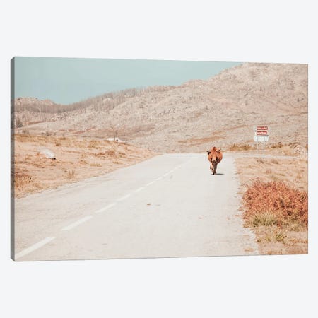 On The Road Canvas Print #INB58} by Ingrid Beddoes Canvas Art