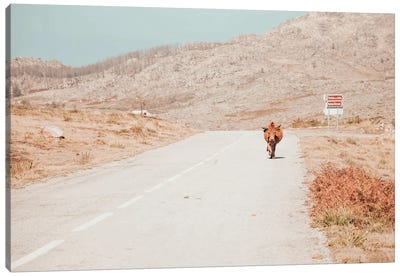 On The Road Canvas Art Print - Ingrid Beddoes