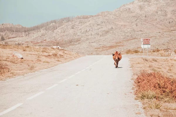 Less Is More: On The Road by Ingrid Beddoes