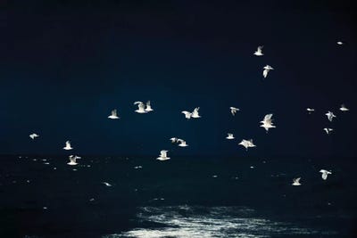 Azul by Ingrid Beddoes framed wall art