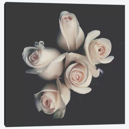Roses Canvas Print #INB65} by Ingrid Beddoes Canvas Art