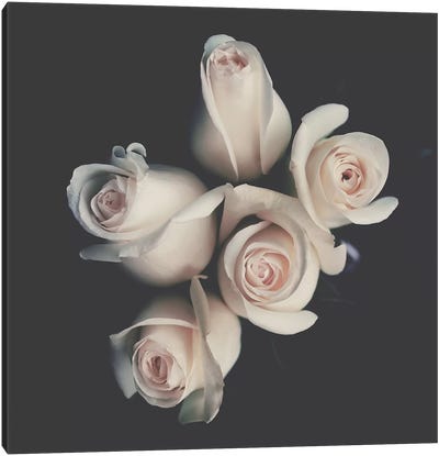 Roses Canvas Art Print - Ingrid Beddoes