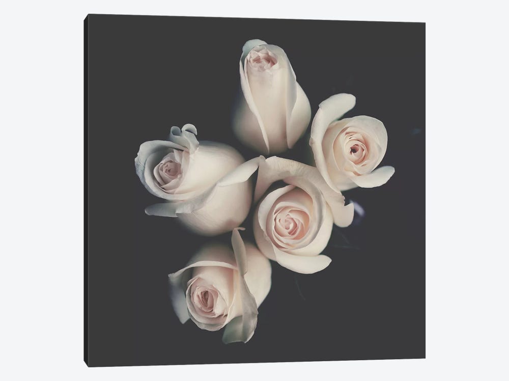 Roses by Ingrid Beddoes 1-piece Canvas Wall Art
