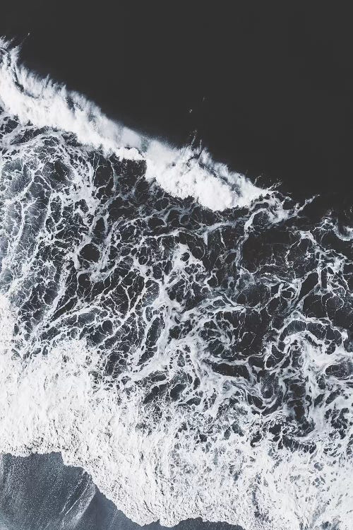 Sea Lace by Ingrid Beddoes wall art