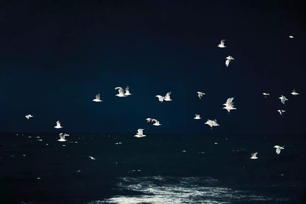 Office: Azul by Ingrid Beddoes