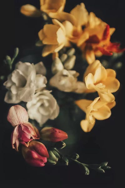 Spring Bouquet by Ingrid Beddoes framed wall art