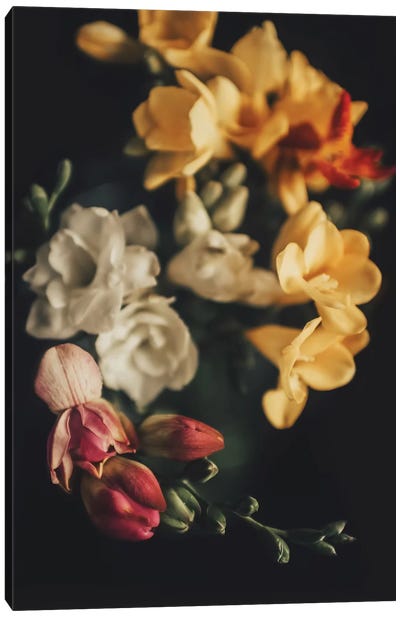 Spring Bouquet Canvas Art Print - Ingrid Beddoes