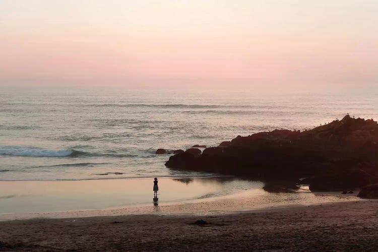 Watching The Sunset by Ingrid Beddoes wall art
