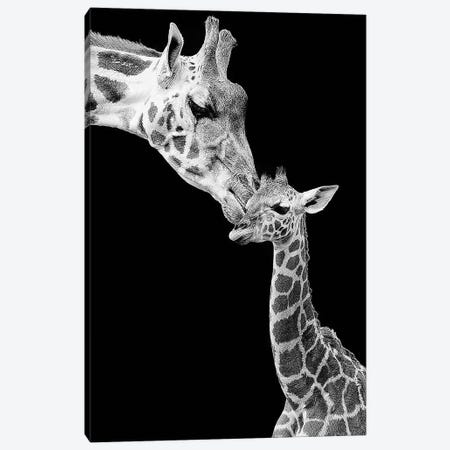 First Love - Giraffe Canvas Print #INC24} by Incado Canvas Art Print