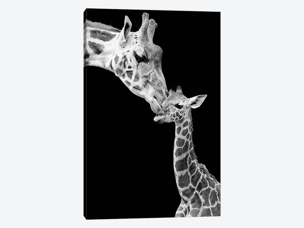 First Love - Giraffe by Incado 1-piece Canvas Art