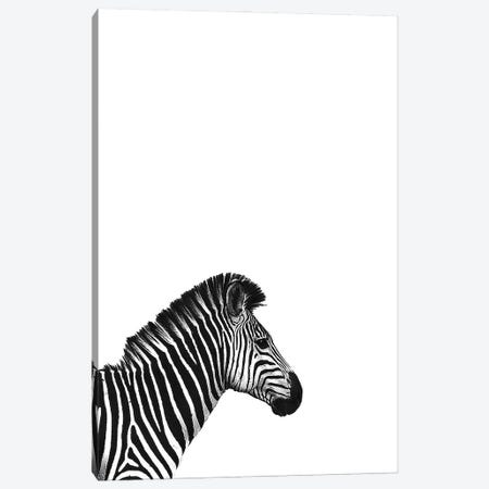 Zebra II Canvas Print #INC66} by Incado Canvas Print