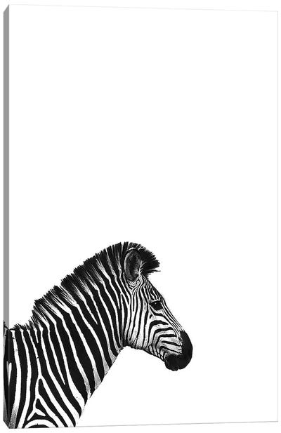 Zebra II Canvas Art Print