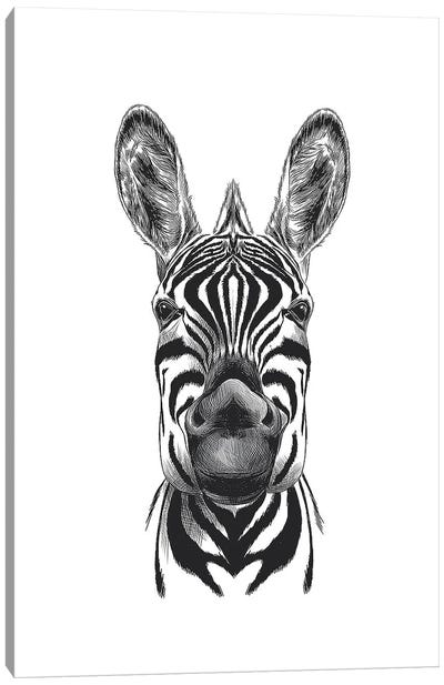 Zebra Illustration Canvas Art Print
