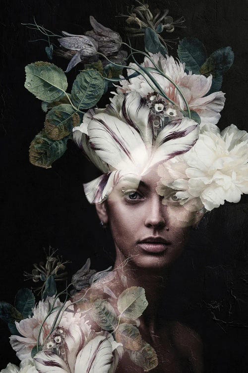 Botanical Woman II by Incado wall art