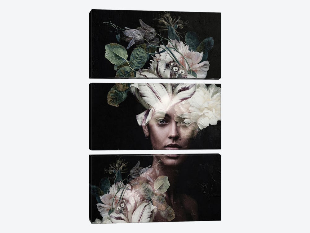 Botanical Woman II by Incado 3-piece Canvas Artwork