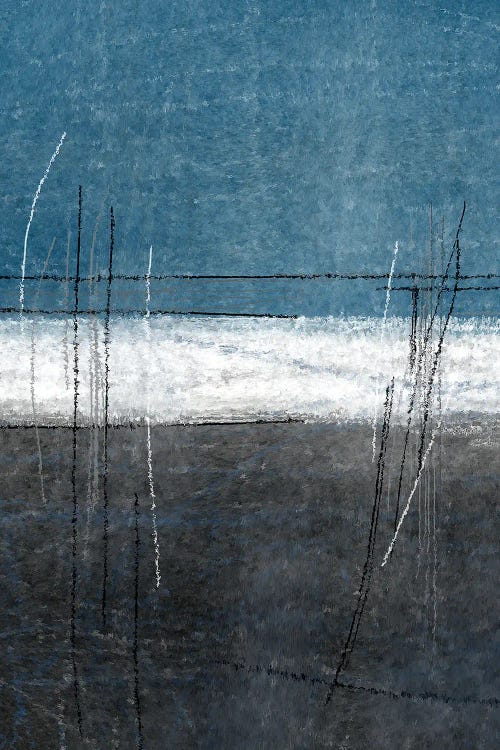 Blue Gray Grass